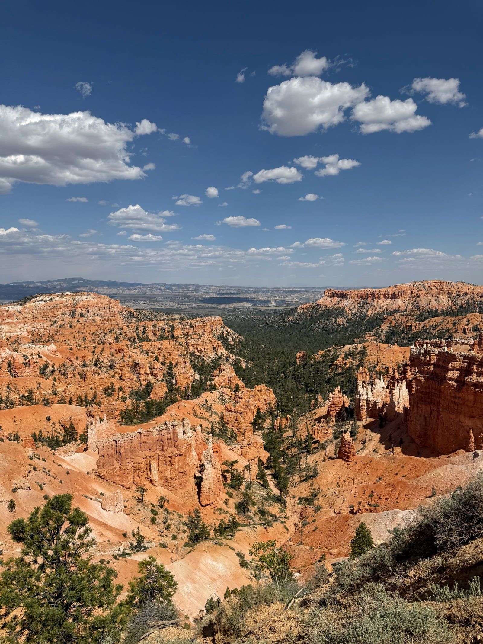 Ansicht von Bryce Canyon