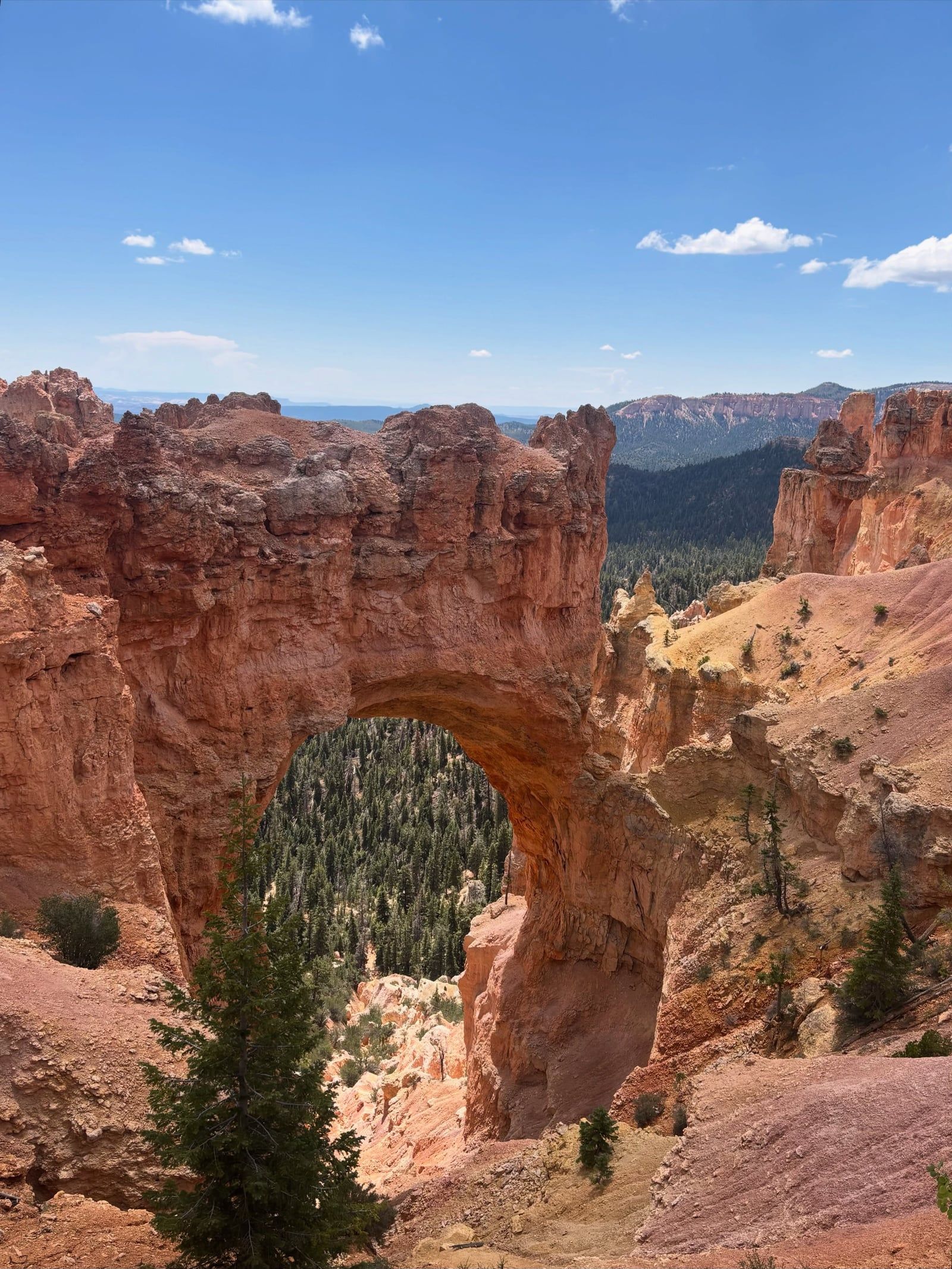 Ansicht von Bryce Canyon